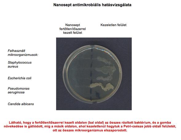A Nanosept antibakteriális hatása